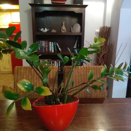 Loft Διαμέρισμα Σκιάθος Πόλη